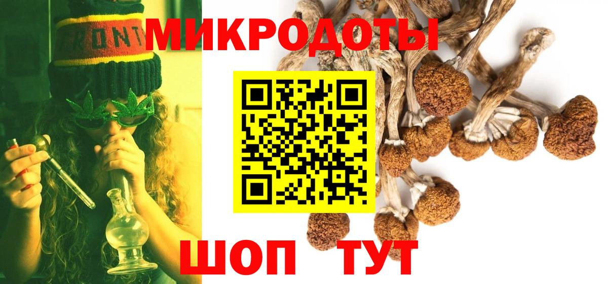 Псилоцибиновые грибы GOLDEN TEACHER Гусев